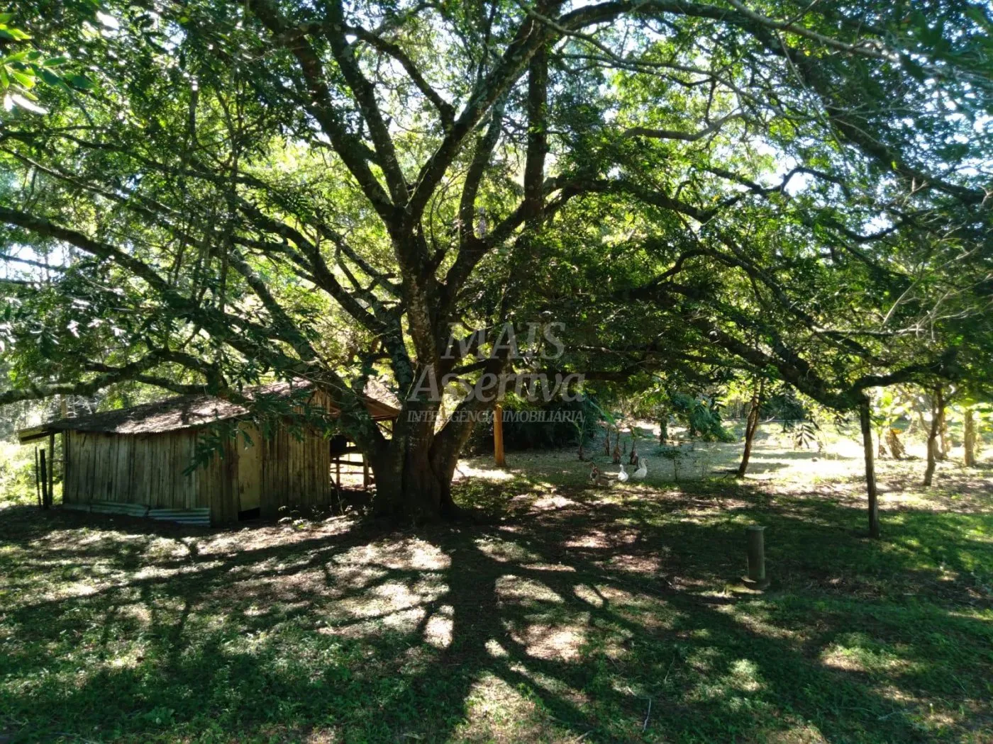 Imagem Excelente Sítio à venda em Viamão/RS - 17,9 hectares