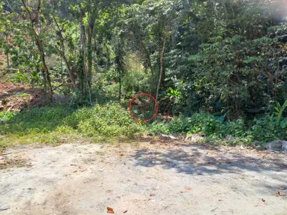 Imagem TERRENOS LOTES DE 420 MT EM BOISSUCANGA APARTIR DE 330 MIL CADA LOTE OU 0 TERRENO INTEIRO DE 1680 MT POR 1.200.000,00