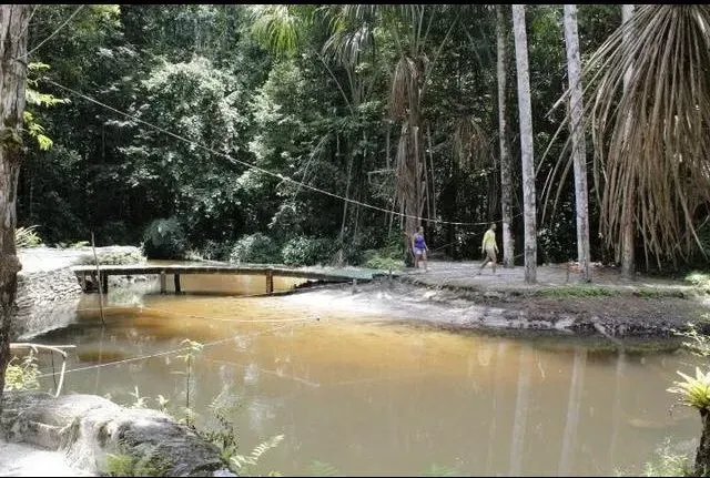 Imagem Sítio à Venda, 125.000 m² em Lago Azul - Manaus