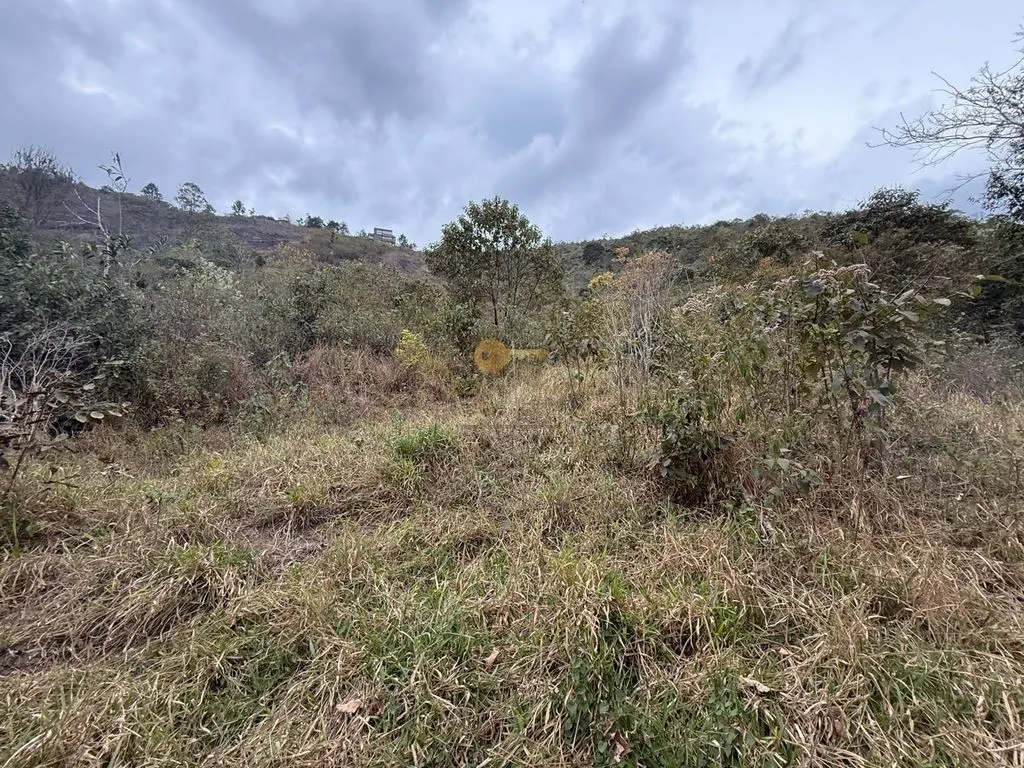 Imagem Terreno para Venda em Teresópolis / RJ no bairro Albuquerque