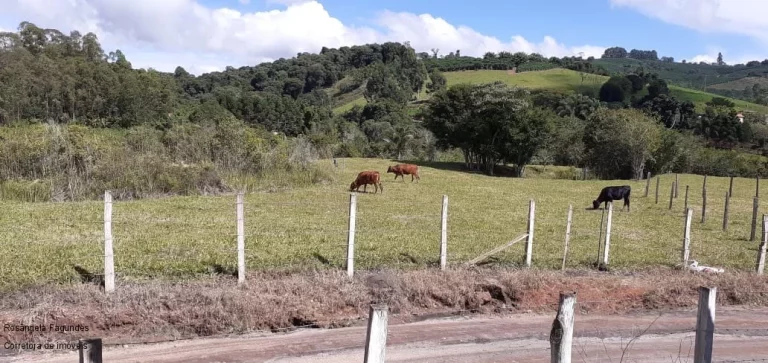 Imagem CHACARA RURAL em CAMPESTRE - MG, CENTRO
