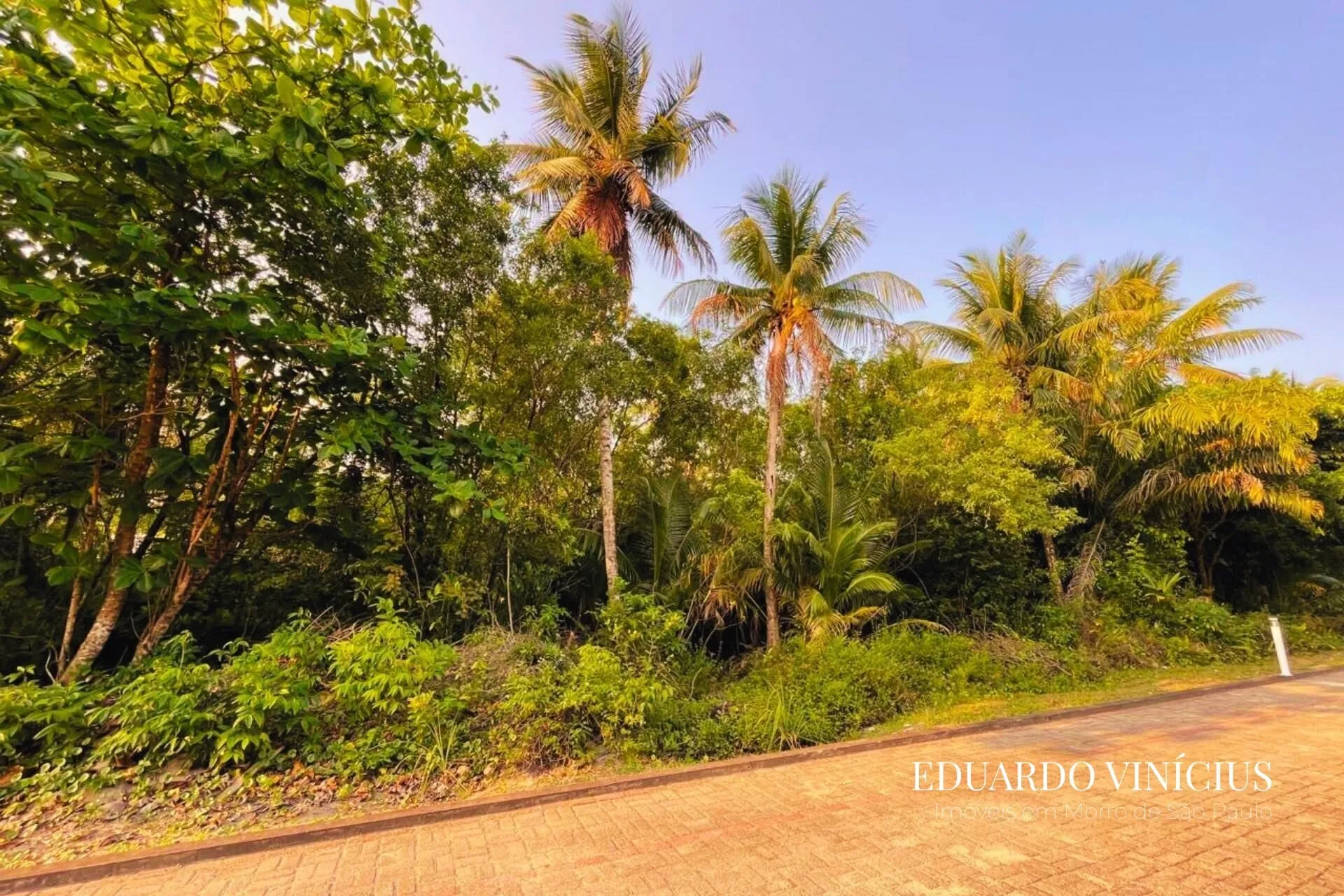 Imagem Dolce Vita Praia - Terreno com 1.000m² em Condomínio de Luxo À Venda em Morro de São Paulo