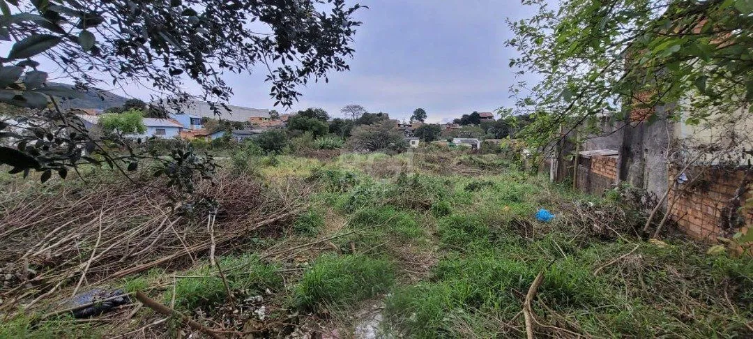 Imagem Terreno para Venda - 3.037m² no bairro Campo Novo