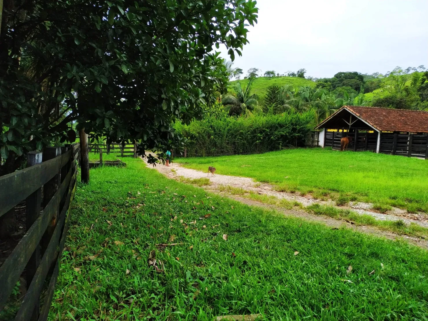 Imagem Chácara à venda 4 Quartos, 1 Suite, 1282600M², Zona Rural, Pindamonhangaba - SP