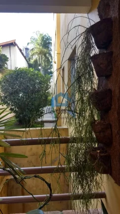 Imagem Apartamento à venda no Jardim Sabiá em Cotia