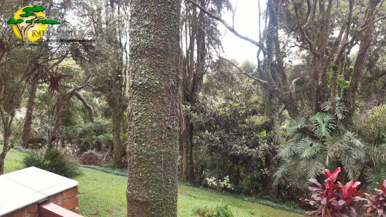 Imagem LINDO IMÓVEL NA SERRA DA CANTAREIRA