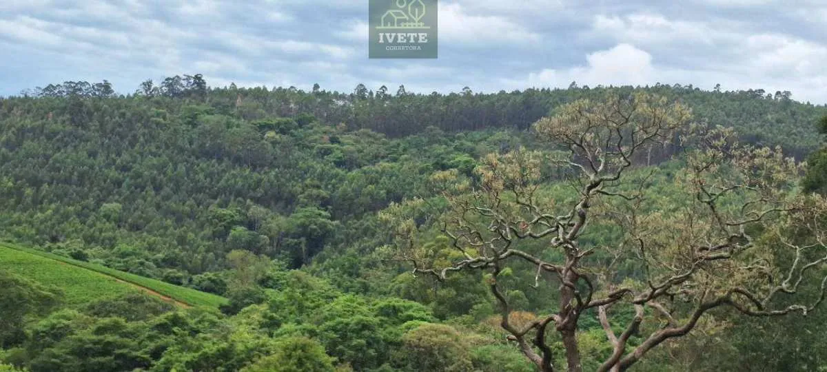 Imagem Ampla Área à Venda no Bairro da Lagoa - Socorro/SP