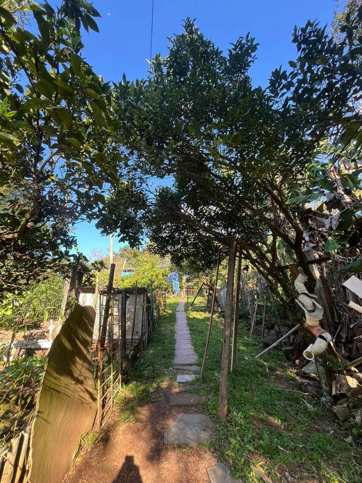 Imagem Terreno Amplo com 3 Casas - Vila Nova, Porto Alegre