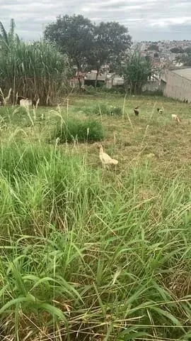Imagem Terreno à venda 137M², São Gonçalo, Taubaté - SP
