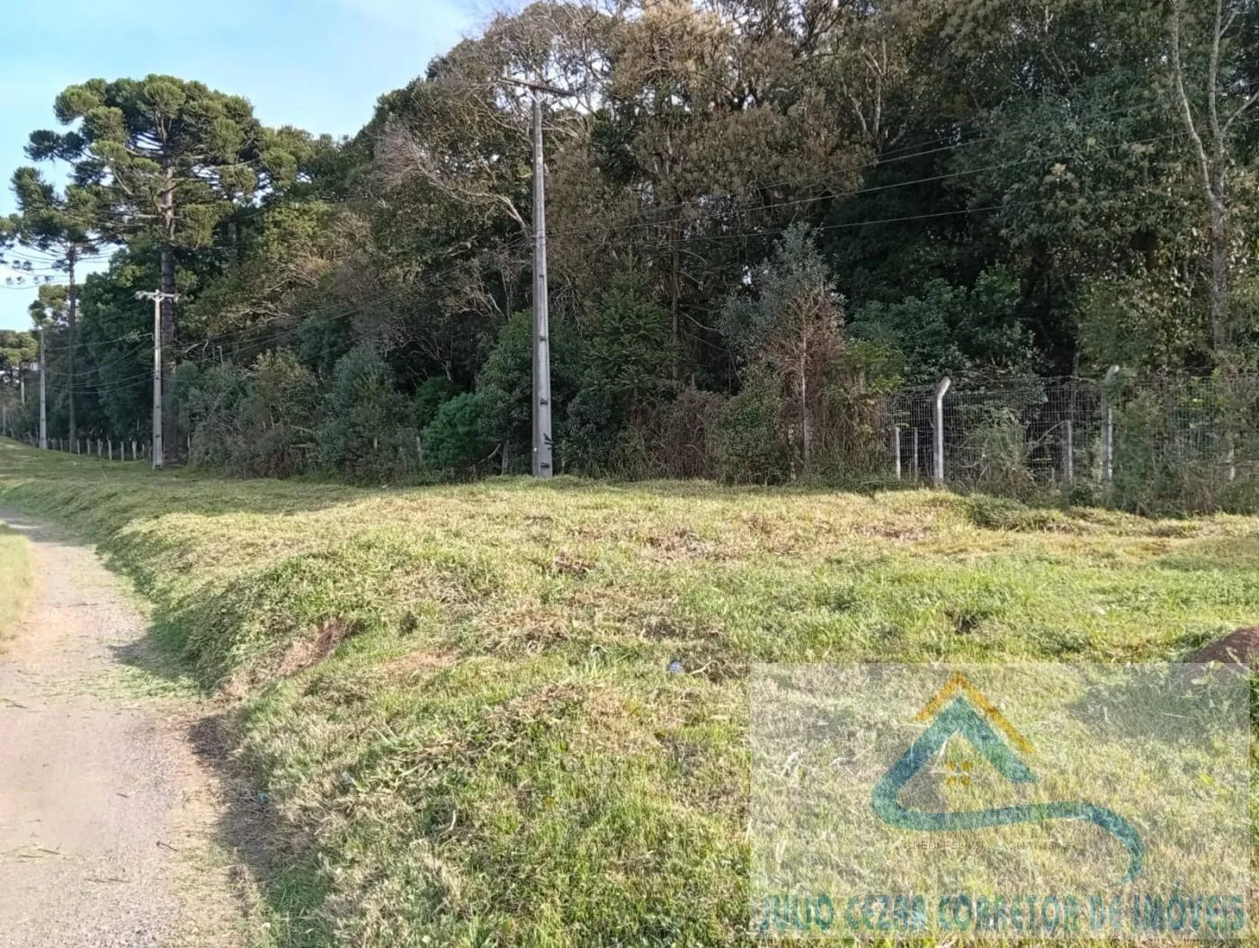 Imagem Terreno para Venda em São José dos Pinhais, Campo Largo da Roseira
