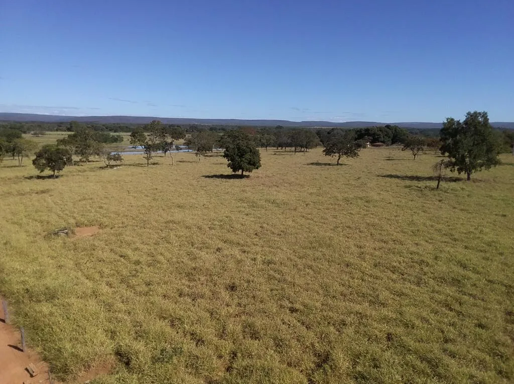 Imagem FAZENDA À VENDA - VÁRZEA DA PALMA (MG) 313 hectares de área total