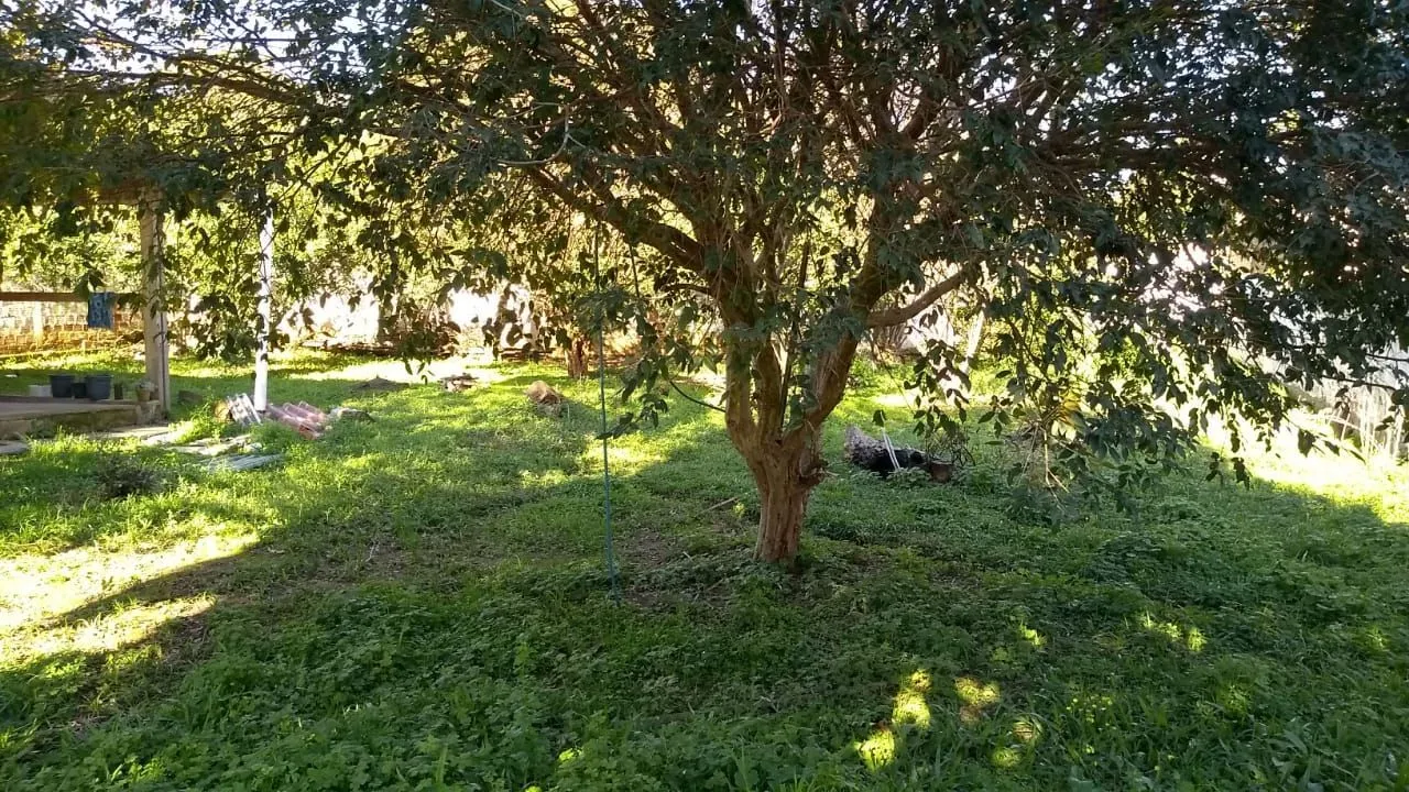 Imagem Chácara em Alegria