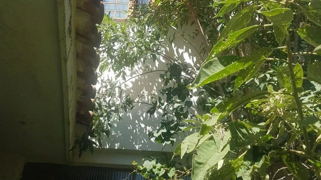 Imagem Terreno em Chácara das Pedras
