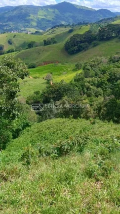 Imagem Terreno à Venda