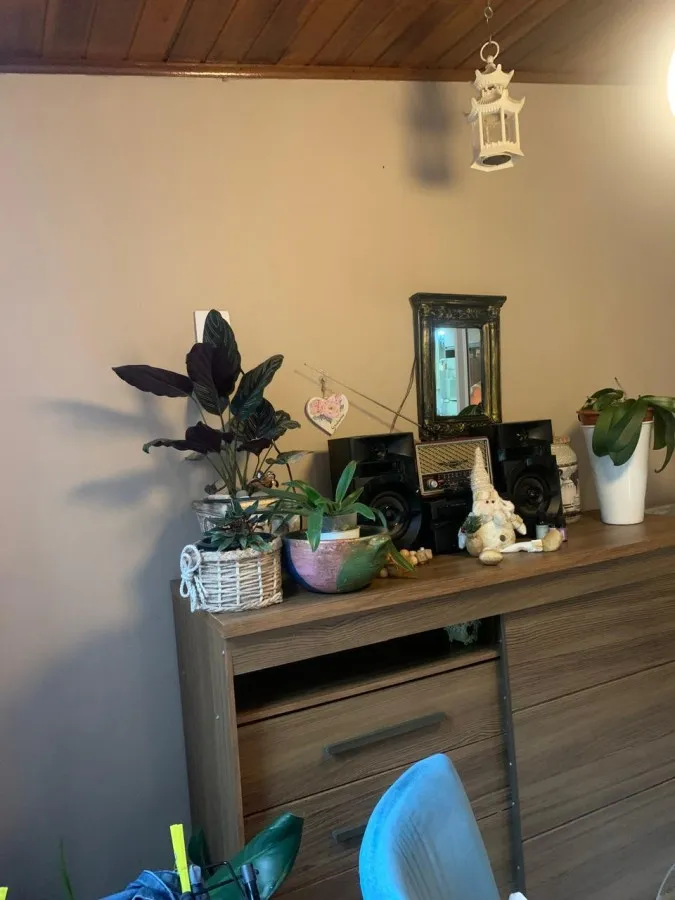 Imagem Apartamento com Terraço para Locação em Camboriú, Rio Pequeno, 2 dormitórios, 1 banheiro, 1 vaga