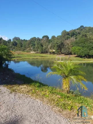 Imagem Chácara c/casa, área de: 20.000 mil m², asfalto na frente, no Palmitalzinho em Quatro Barras Pr
