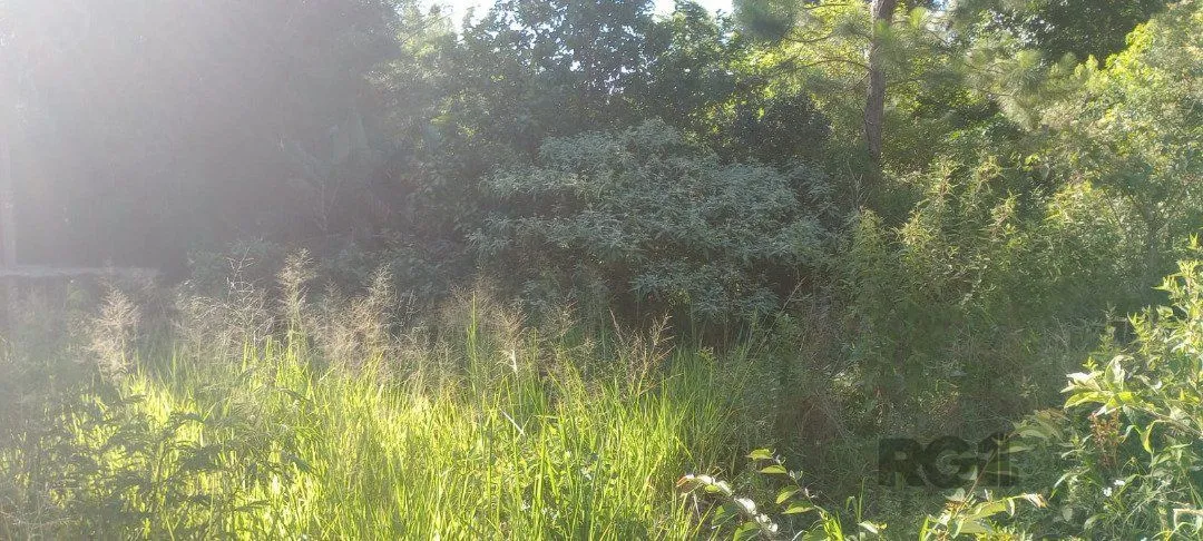 Imagem Terreno em Nonoai