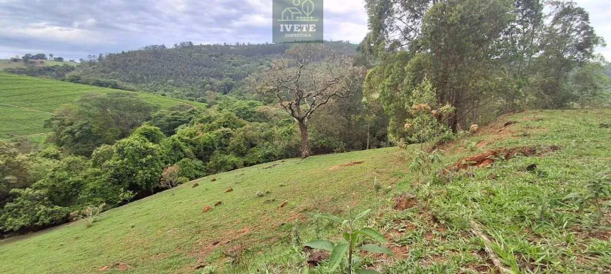 Imagem Ampla Área à Venda no Bairro da Lagoa - Socorro/SP