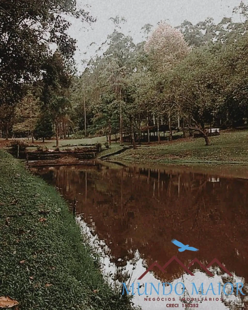 Imagem Sítio Esplanada 19,5 alqueires Pronto para resort, eventos e negócios !!!!!