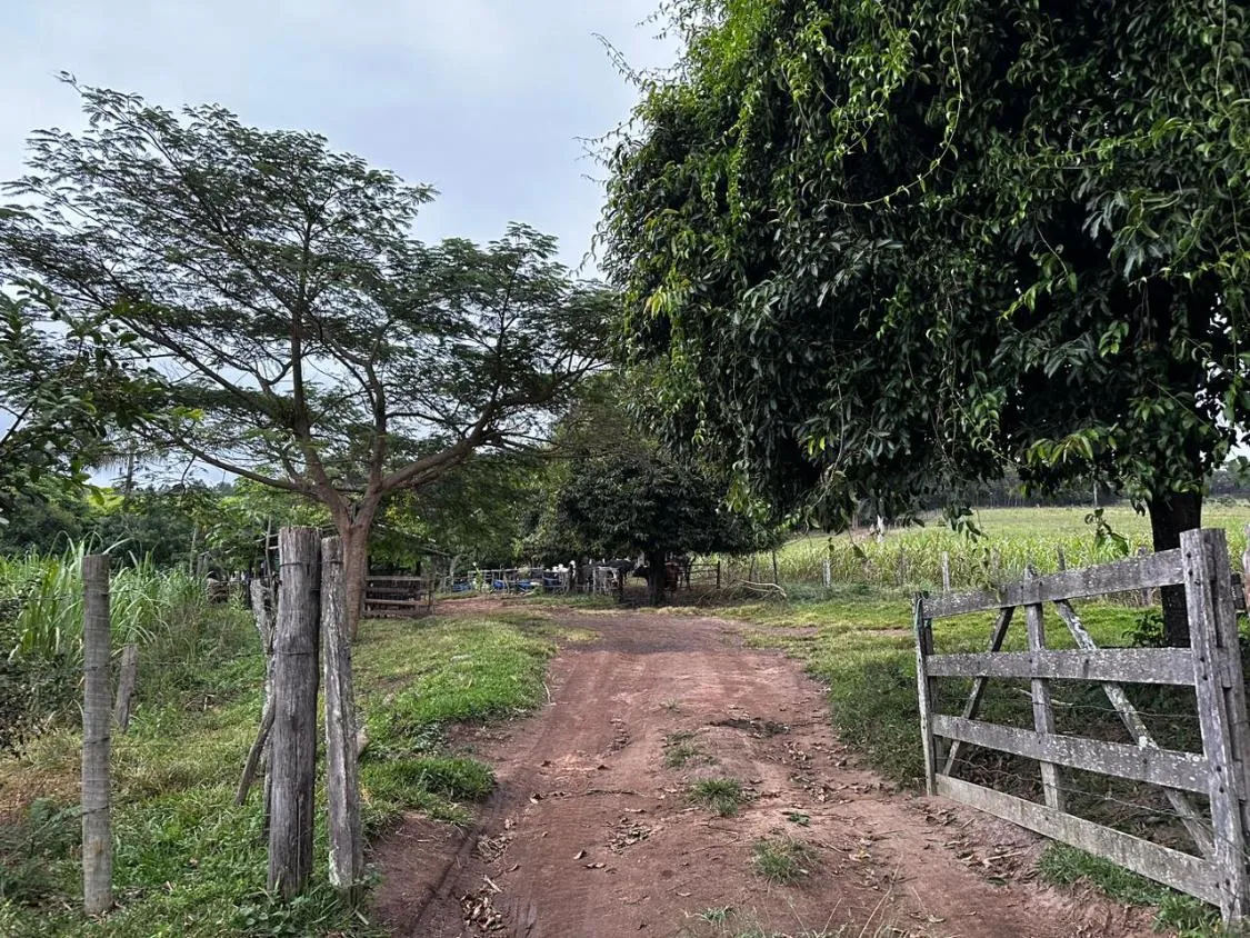 Imagem Vendo um ótimo terreno com 13 hectares de área total , em Crucilândia / MG
