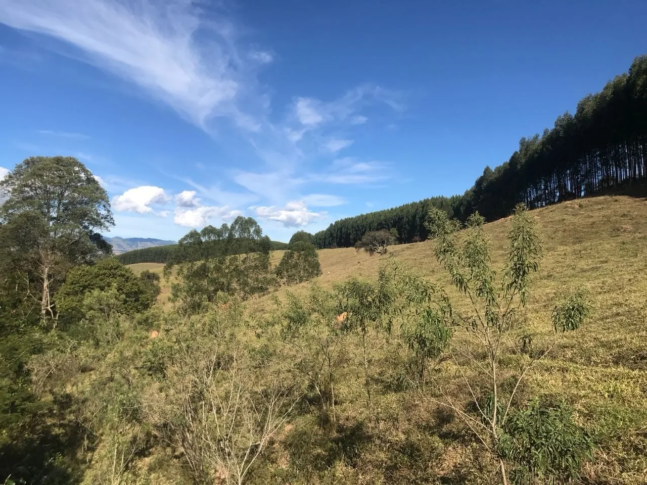 Imagem Chácara à venda 3 Quartos, 157000M², Bailaiero, Cunha - SP