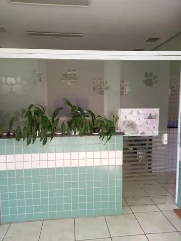 Imagem PET SHOP -VILA POMPEIA-SÃO PAULO