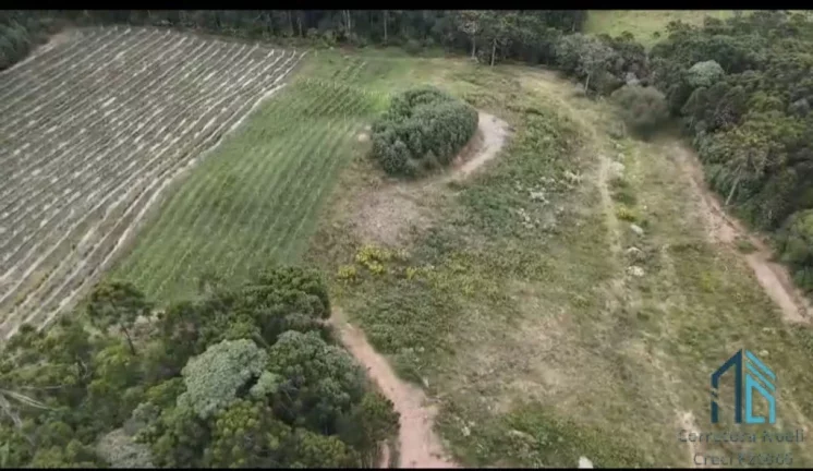 Imagem - Fazenda, Vinícola, Sítio, A VENDA, próximo ao centro de São Joaquim SC