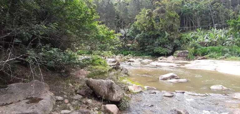 Imagem Com 70 Metros de frente paro Rio do Braço, em São Valentim À 13Km do Centro de Nova Trento. Sendo 7Km de estrada de Barro.