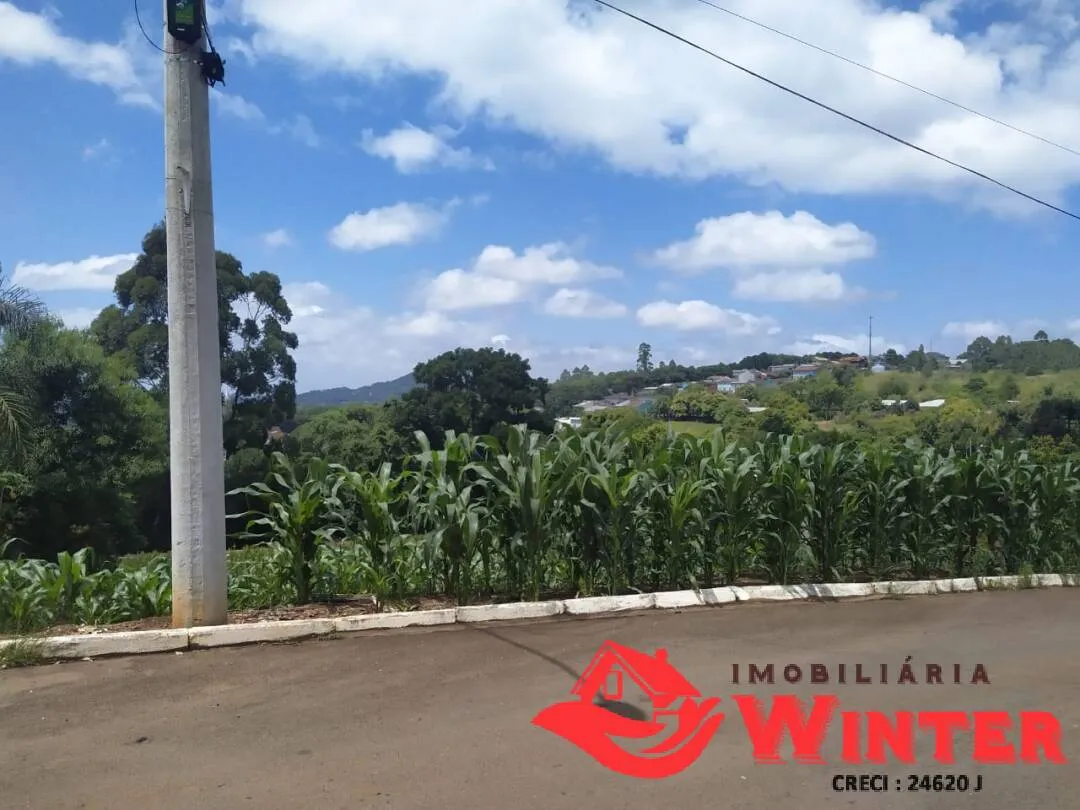 Imagem Terreno com 781m² em Alto Feliz.
