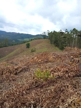 Imagem Terreno à Venda, 1.000 m² em Centro - Atibaia