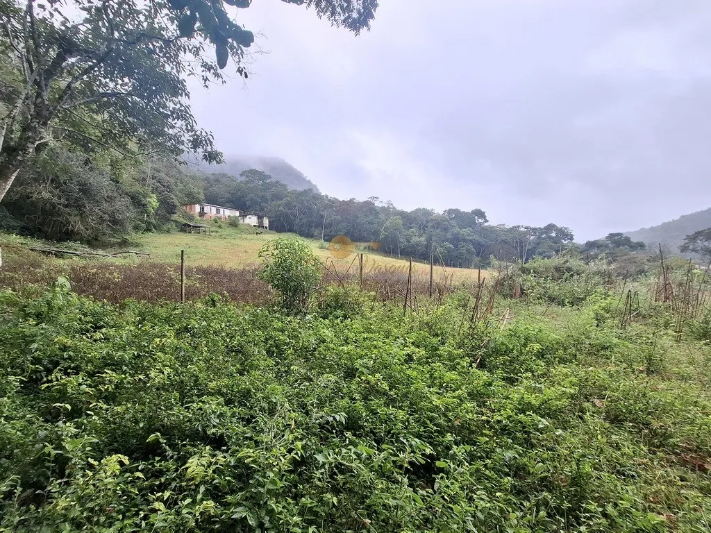Foto do imóvel Sítio para Venda em Teresópolis / RJ em Estrada Serrinha