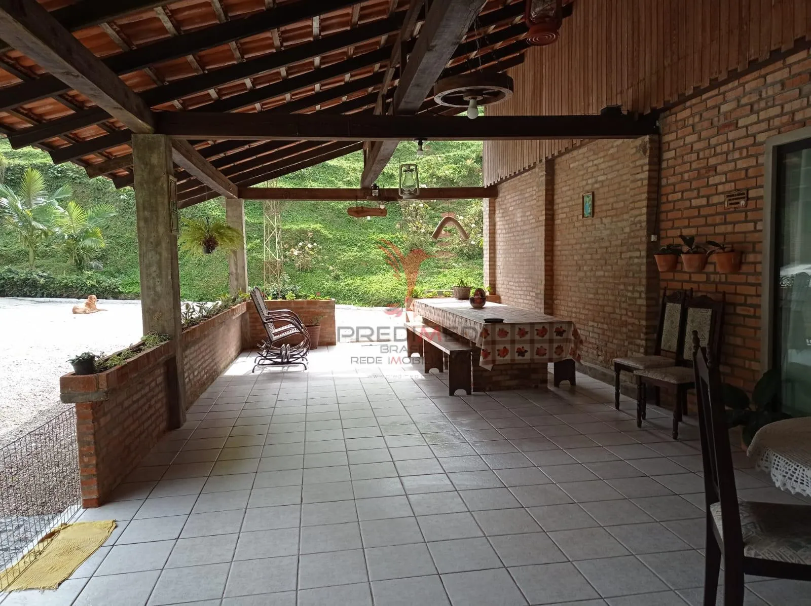 Imagem CHÁCARA A VENDA UM ÓTIMO INVESTIMENTO PARA INVESTIDORES LAJEADO ALTO, GUABIRUBA SC