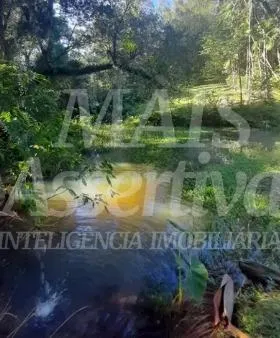 Imagem Excelente Sítio à venda em Aguapés, Osório/RS - 16 hectares