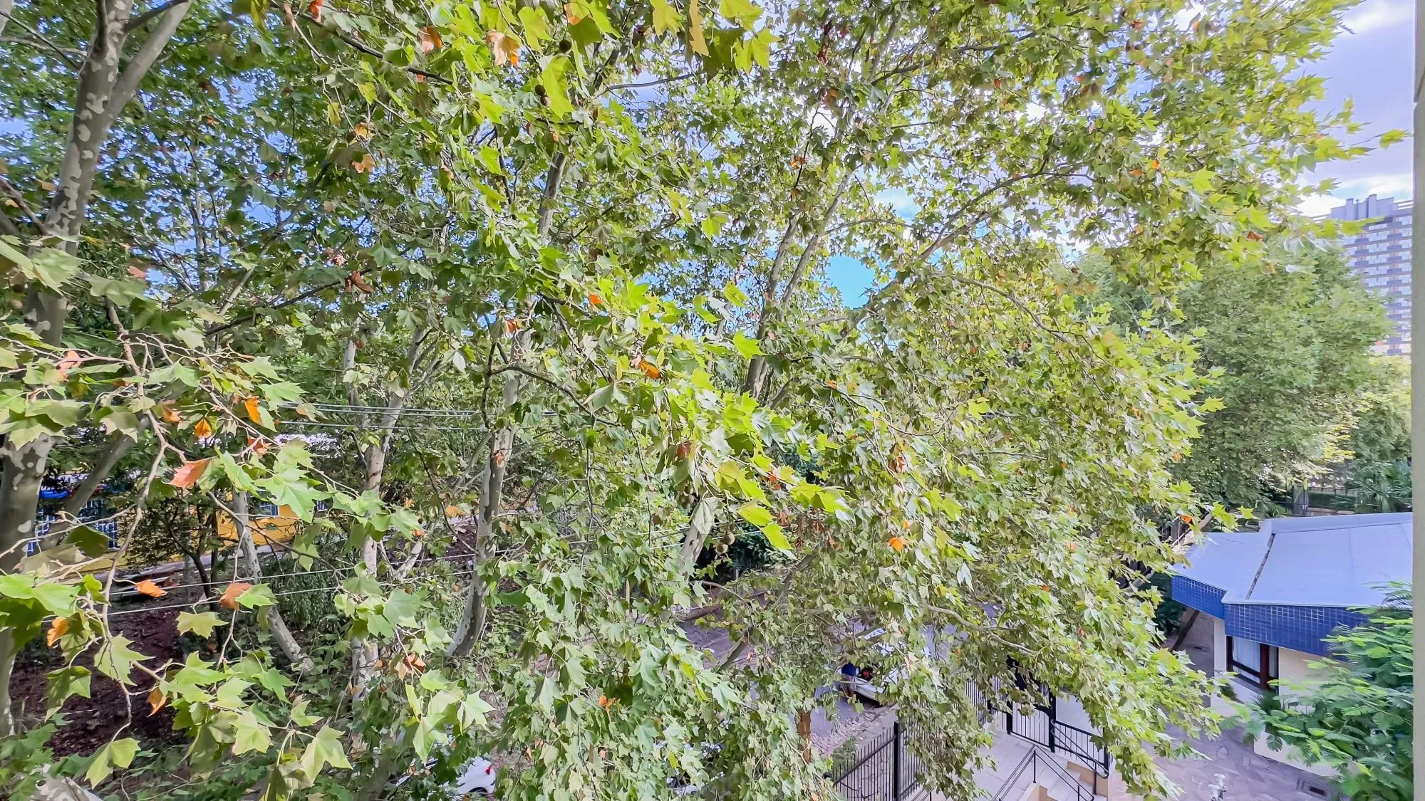 Imagem Apartamento com 3 Quartos (1 suíte) à venda, 76m² - Boa Vista