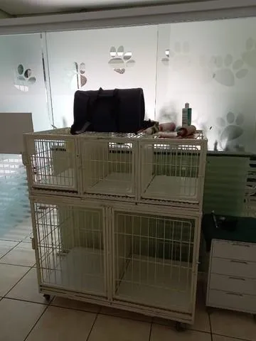 Imagem PET SHOP -VILA POMPEIA-SÃO PAULO
