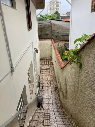 Imagem Casa Térrea 3 dormitórios - Paulicéia