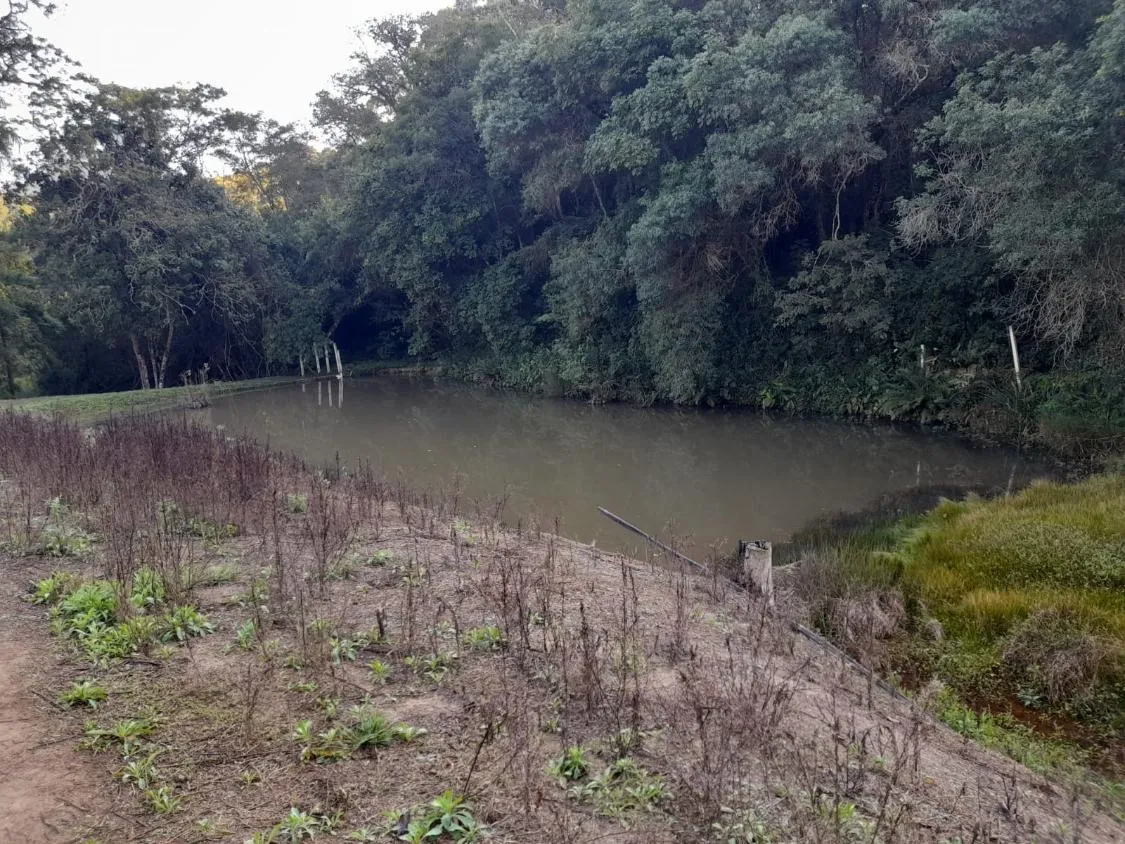 Imagem TERRENO - BAIRRO DA RESSACA - IBIUNA