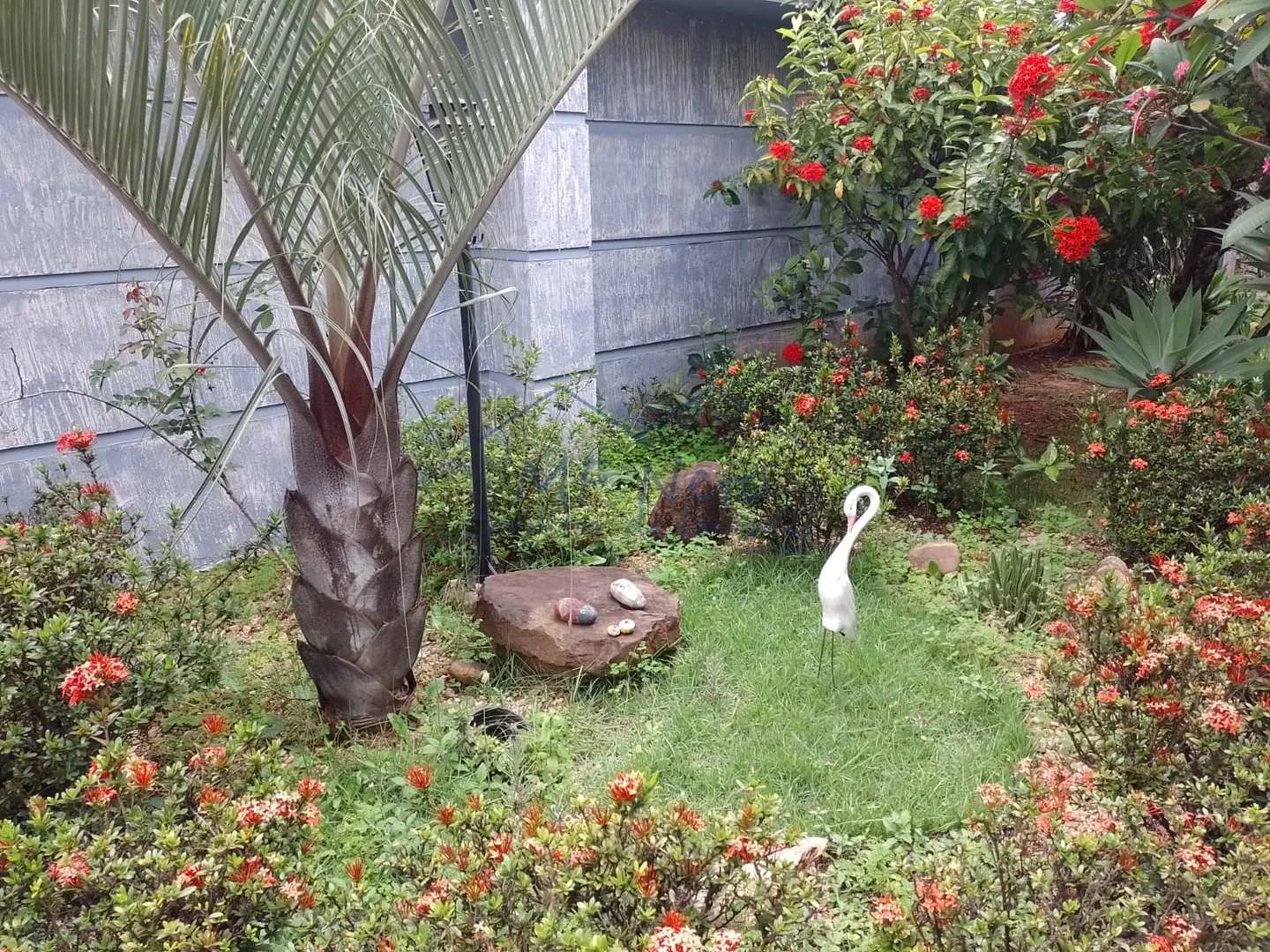 Imagem Casa Padrão