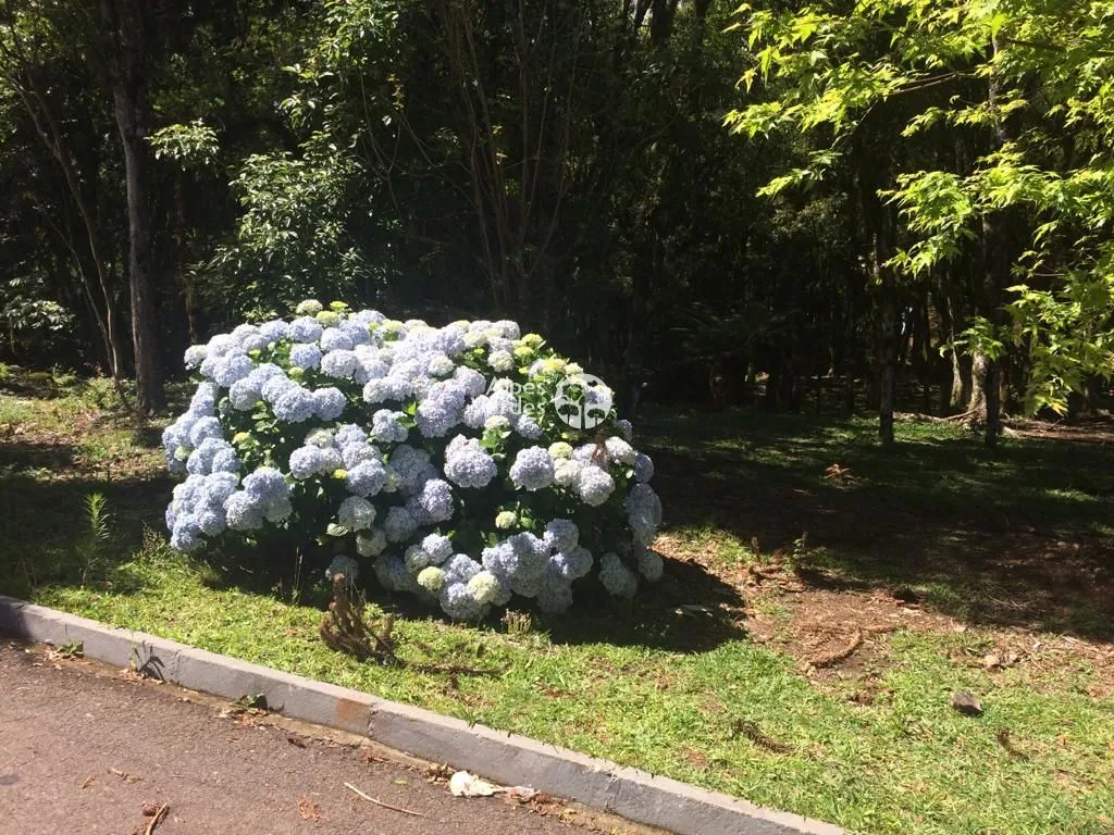 Imagem Terreno à venda, 1242 m2 por R$ 682.900,00 - Lagos Do Bosque - Gramado/RS