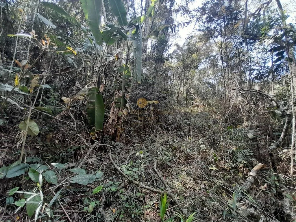 Imagem Terreno para Venda em Teresópolis / RJ no bairro Vargem Grande