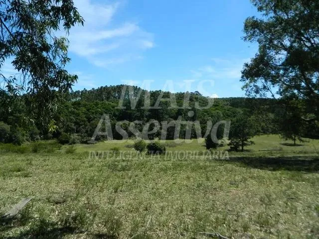 Imagem Excelente sítio para venda localizado no bairro Morungava em Gravataí/RS