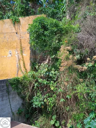 Imagem Imóvel em Caieiras / Bairro Serpa / a 5 minutos do centro.