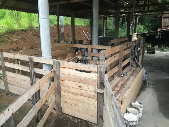 Imagem Ótimo sítio a venda em Pinheral SC. com 40.000m². Propriedade equipada para criação de animais.