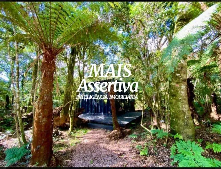 Imagem Terreno com container para venda no Lotealmente Colinas, São Francisco de Paula