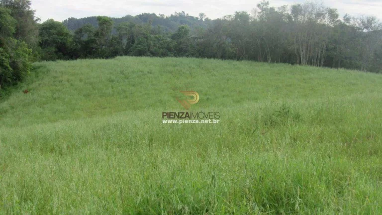 Imagem Terreno para Venda em Concórdia, Rural