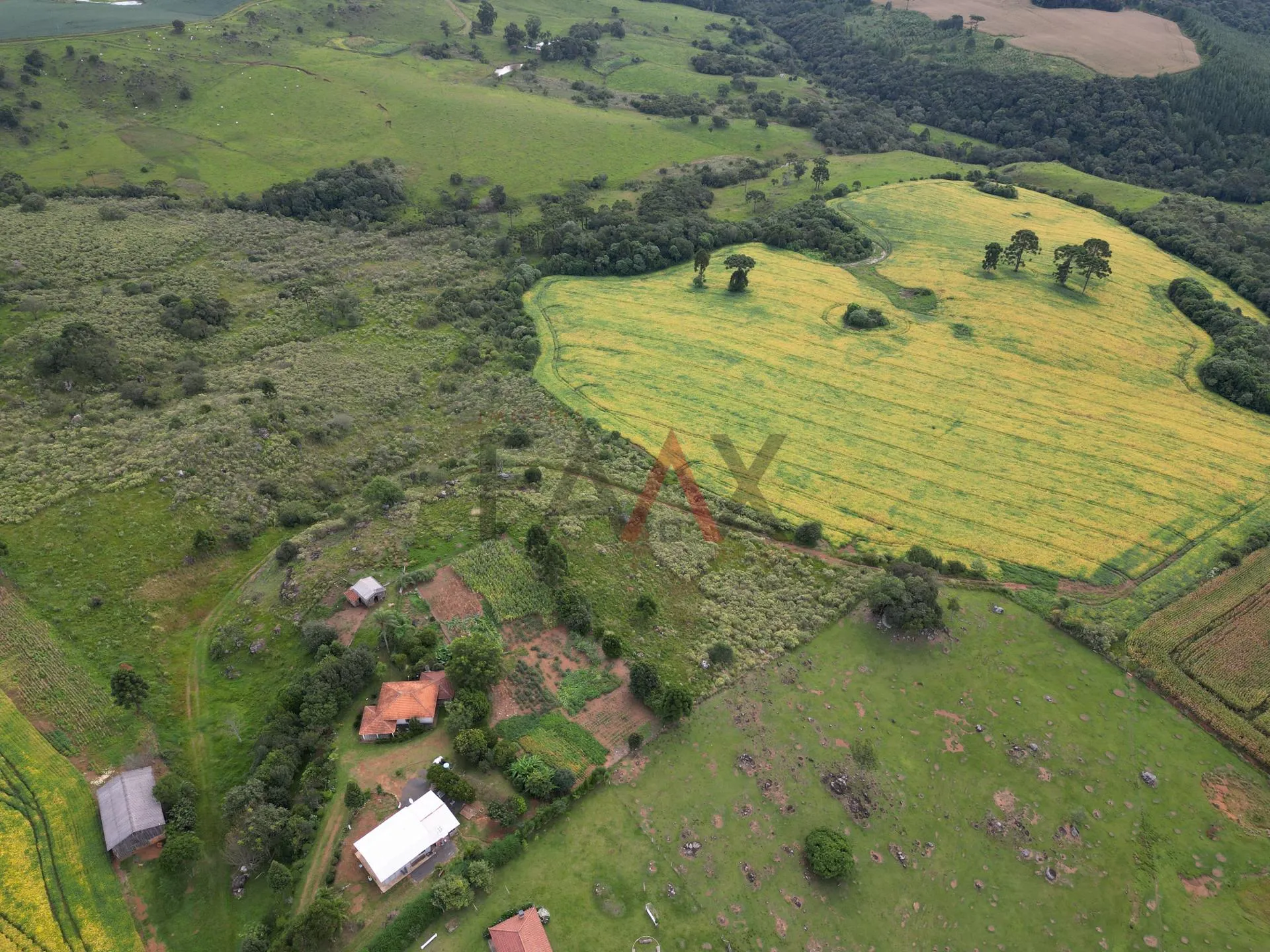 Imagem Chácara com 1.210.000,00m as margens da BR-277 em GUARAPUAVA - PR