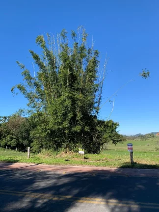 Imagem Oportunidade Única: Terreno à Venda no Bairro Ambrósio, Garopaba-SC - 360m²!