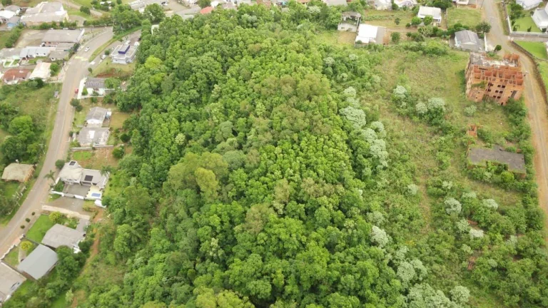 Imagem Terreno para Venda em Concórdia, Cristal