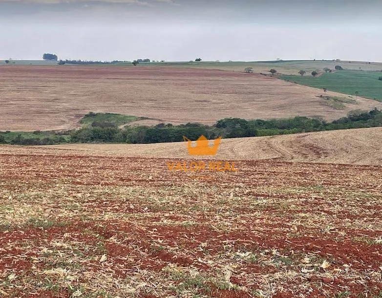 Imagem À Venda: Fazenda dos Sonhos em Santa Cruz do Rio Pardo - SP!