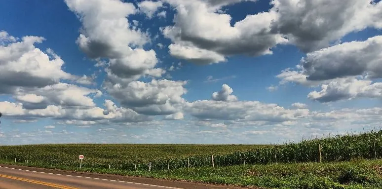 Imagem Terreno em São José